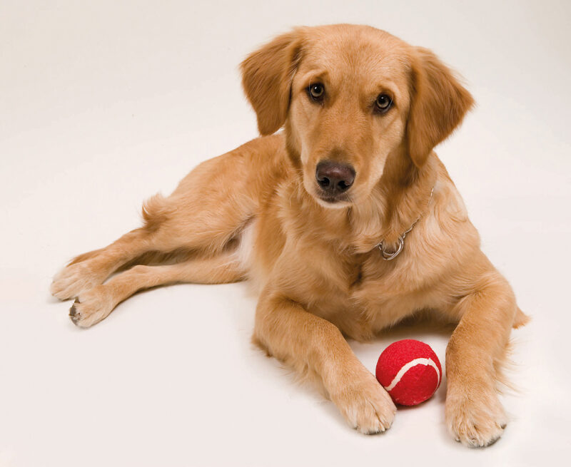 PELOTA NIKI 9964